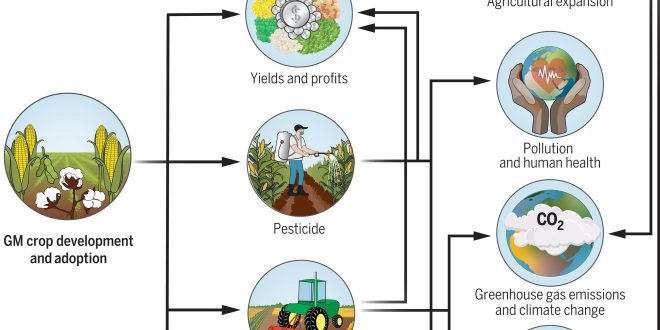 PRAU Run Companies Encouraged to Adopt Healthy Living