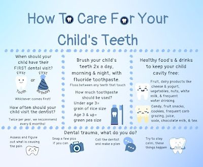 Pecans Daily May Help Prevent Heart Disease Nutritionist Explains 3 Benefits and Dietary Inclusion Tips