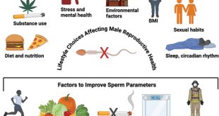 Sedentary Lifestyle Affects Male and Female Reproductive Health Research