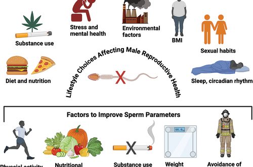 Sedentary Lifestyle Affects Male and Female Reproductive Health Research