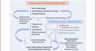 How India's lifestyle change is influencing the future of fitness nutrition.
