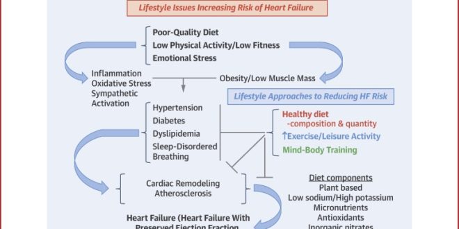 How India's lifestyle change is influencing the future of fitness nutrition.