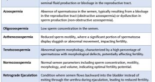 Male infertility 5 lifestyle factors potentially affecting fertility