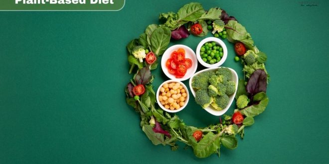 Neurologist's Top 10 Lifestyle and Dietary Tips for Reducing Chronic Disease Risk and Promoting Healthy Longevity