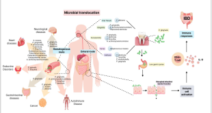 Oral health function associated with lifestyle disease indicators in elderly individuals.