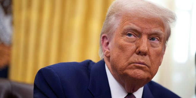 What have tariffs really done to the US economy?