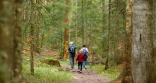 Why Experts Say Your 40s Are Ideal for Beginning a Longevity Lifestyle