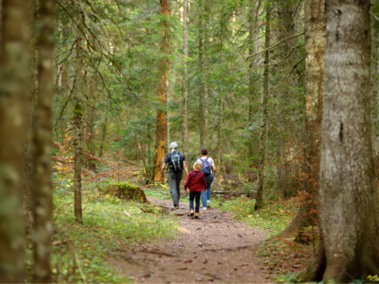 Why Experts Say Your 40s Are Ideal for Beginning a Longevity Lifestyle